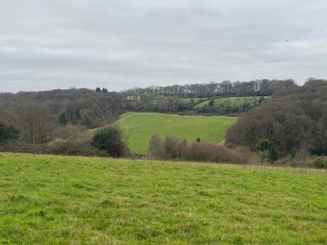 View from Denner Hill